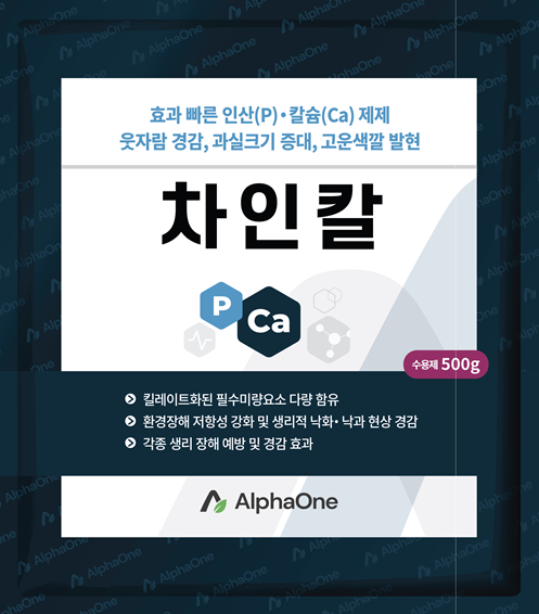 차인칼