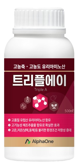트리플에이