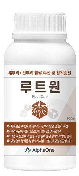 루트원