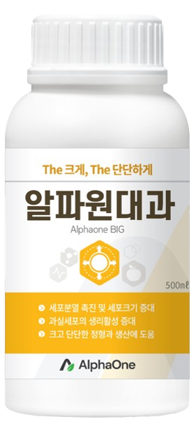 알파원대과